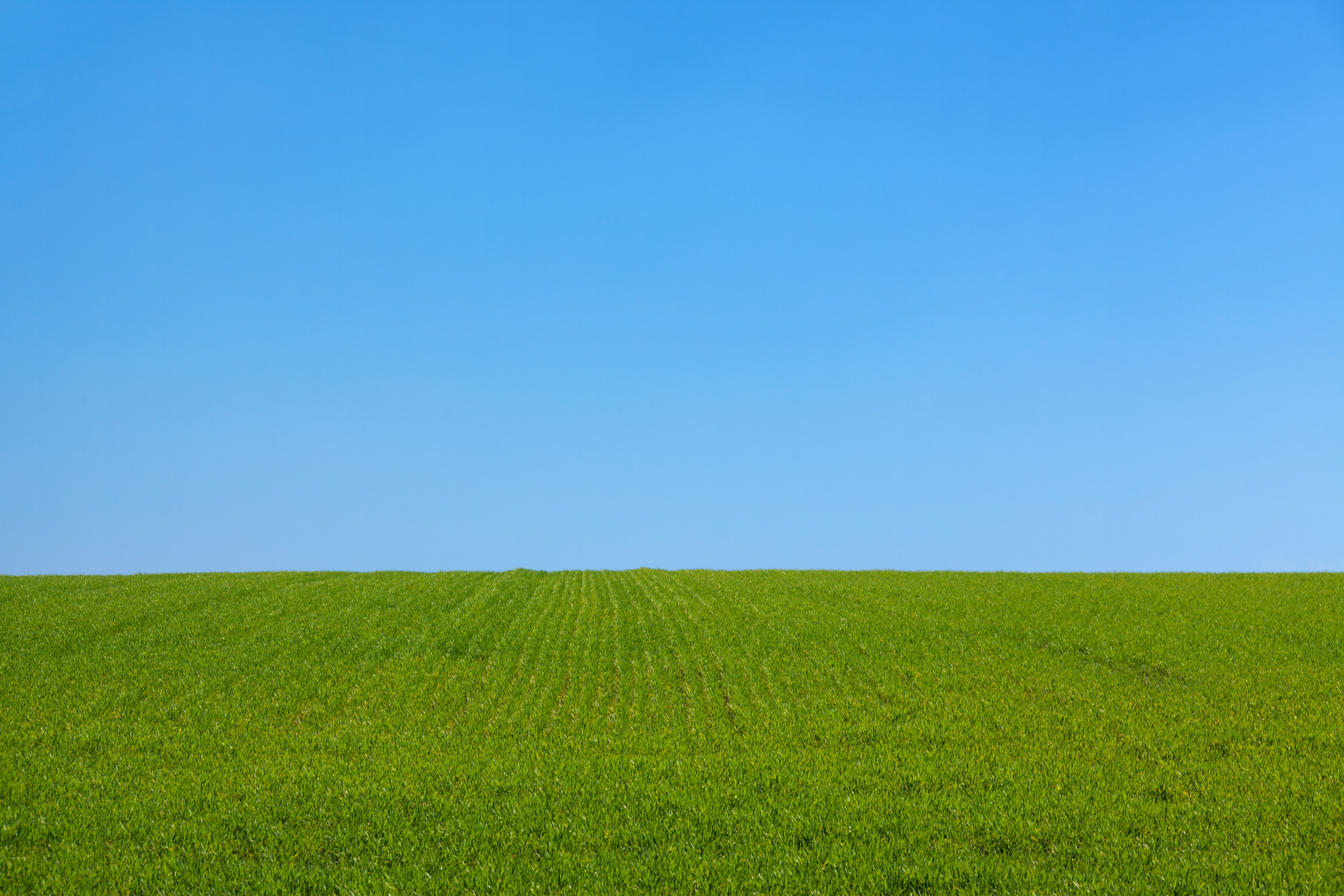 Green Grass Field Under Blue Sky