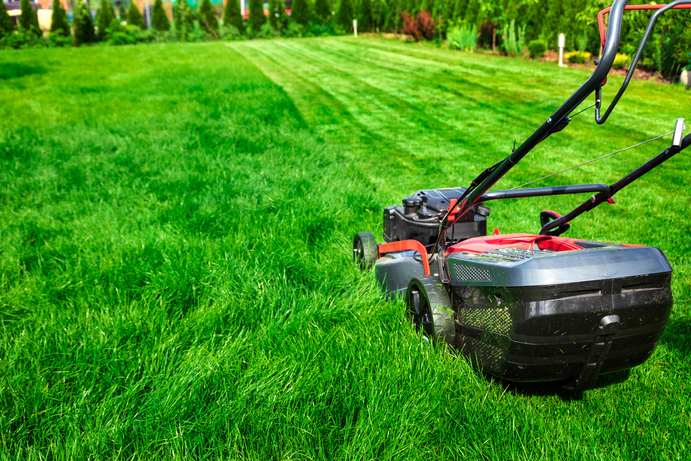 Mowing lawn